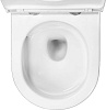 Унитаз подвесной Azario Vela AZ-2480, безободковый, торнадо, сиденье микролифт купить в СОМ